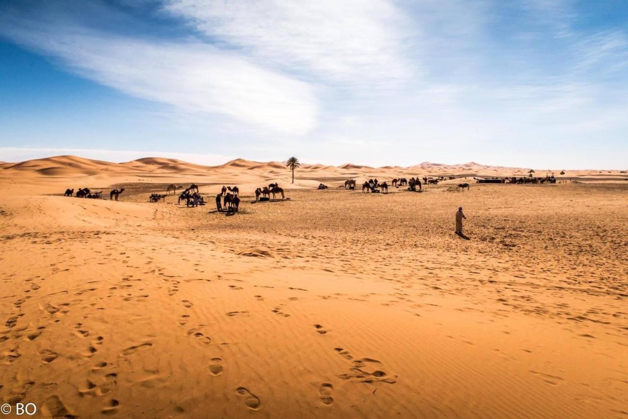 Merzouga Glamping Camp Extérieur photo